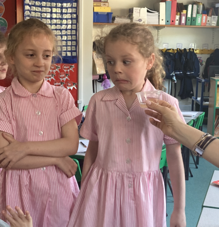 Year 1’s scientific smell
